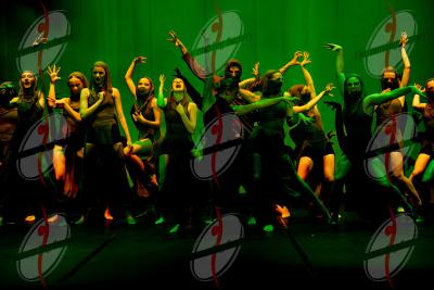 SHOW_00765.jpg